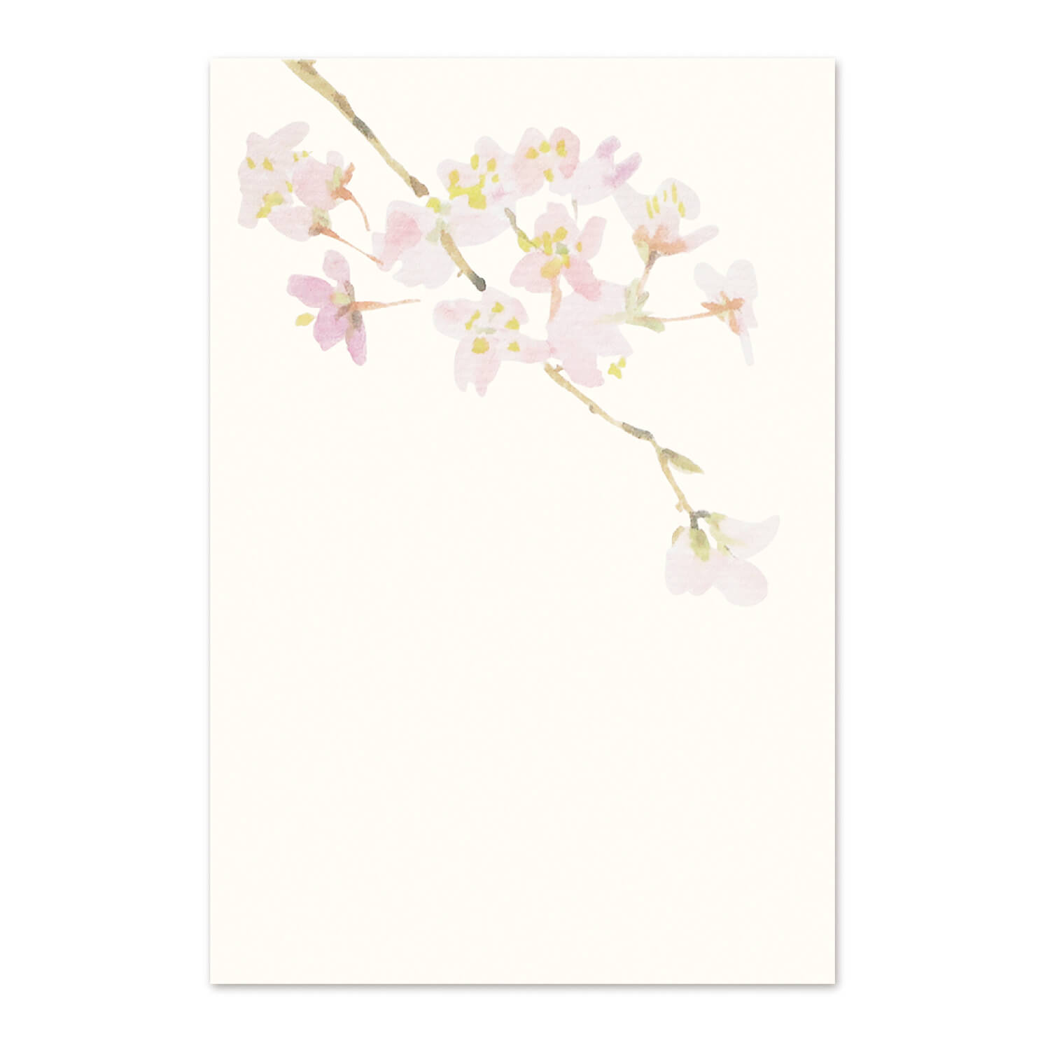 絵葉書 和紙 さくら 桜 満開 お花見 はがき 罫線なし お便り ポストカード ハガキ 手紙 日本製 挨拶状 メッセージカード サクラ 退職 ご挨拶 受験 合格...