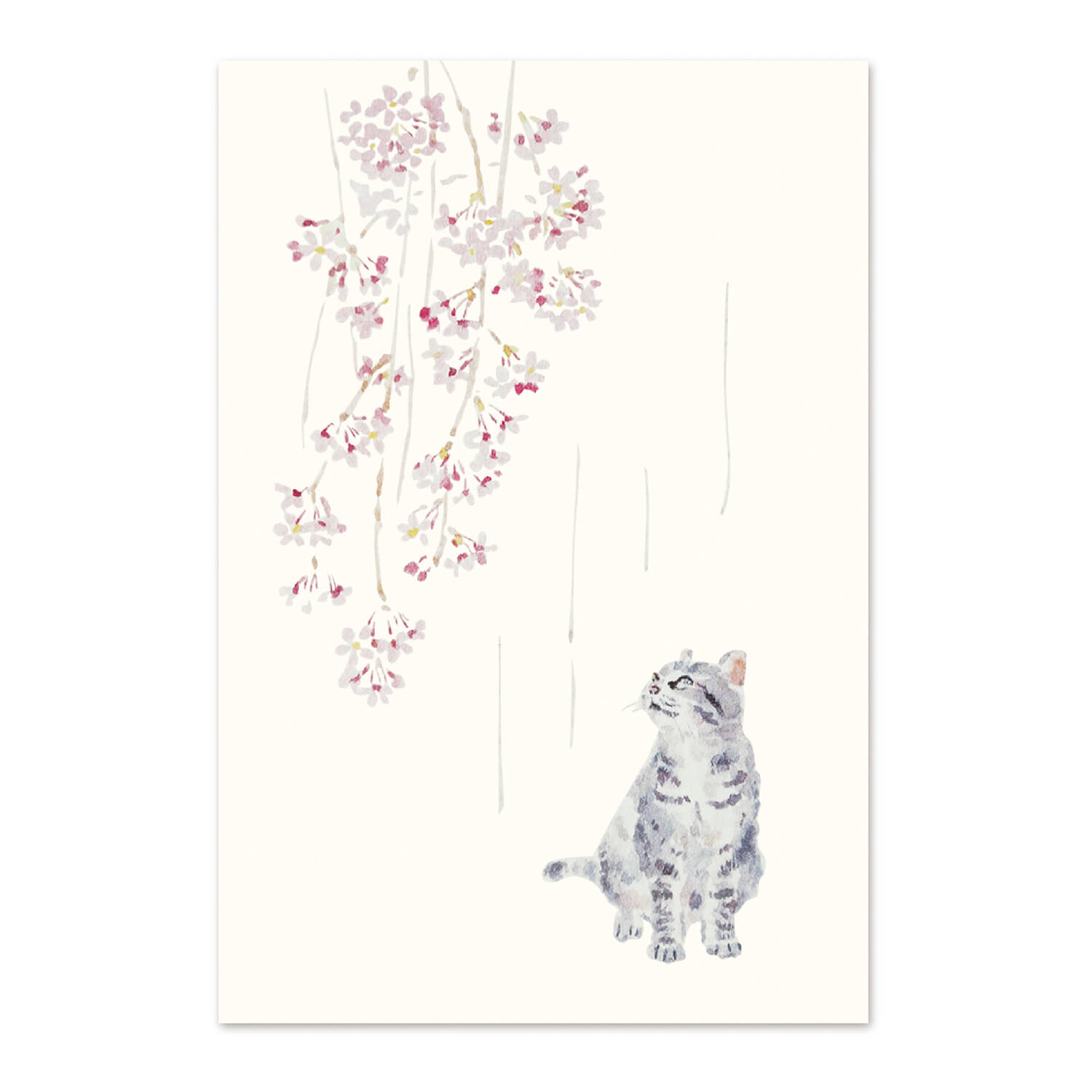 絵葉書 和紙 さくら 桜 サバトラ 枝垂れ桜 ねこ ネコ お花見 はがき お便り ポストカード ハガキ 手紙 日本製 メッセージカード サクラ 転居 引っ越し ...