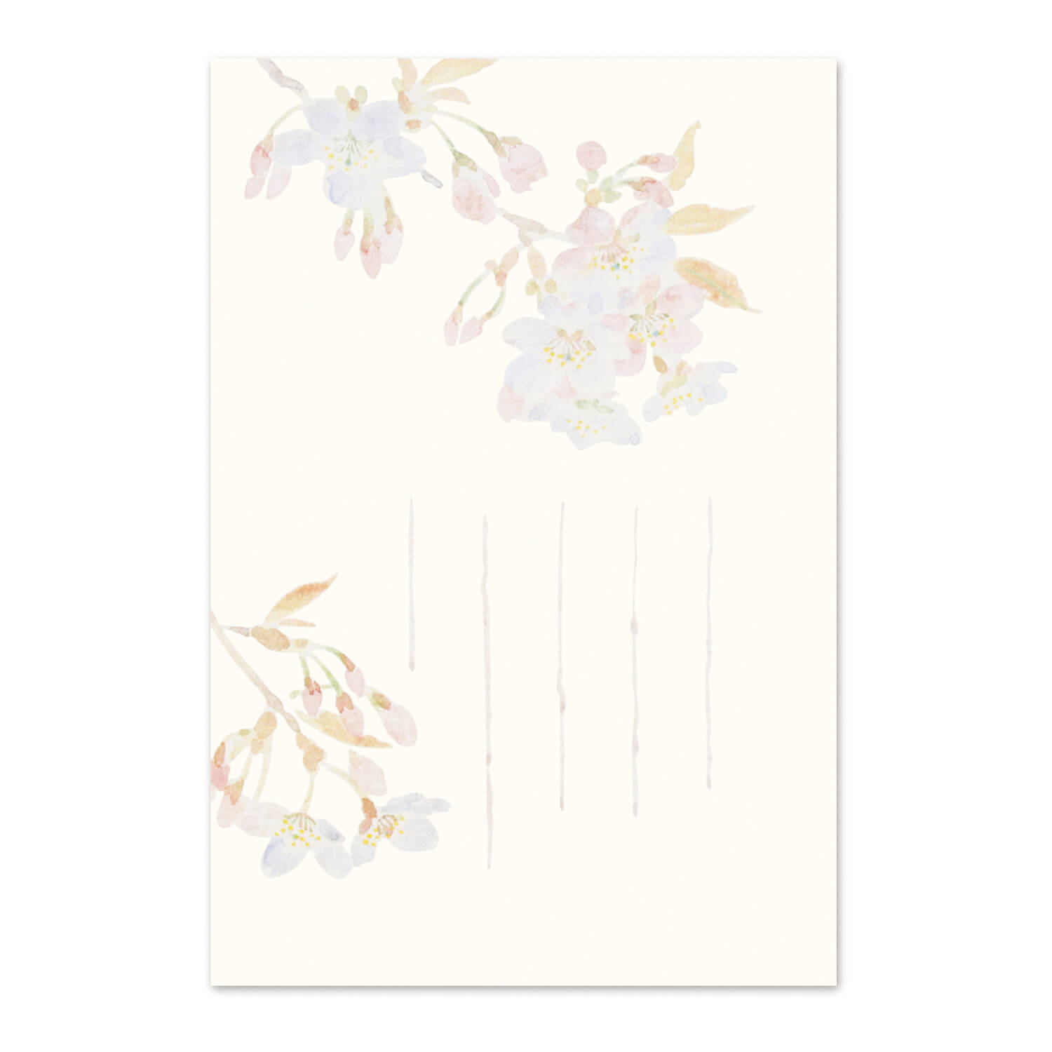 絵葉書 和紙 さくら 桜 お花見 はがき 罫線あり お便り ポストカード ハガキ 手紙 お礼状 メッセージカード サクラ 引っ越し ご挨拶 転居 新居 転勤 お...