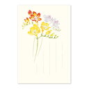 絵葉書 はがき フリージア 和紙 葉書 Freesia メッセージカード ポストカード 手紙 花 お礼 結婚 お祝い 記念日 母の日 お礼状 挨拶状 ギフト|季...