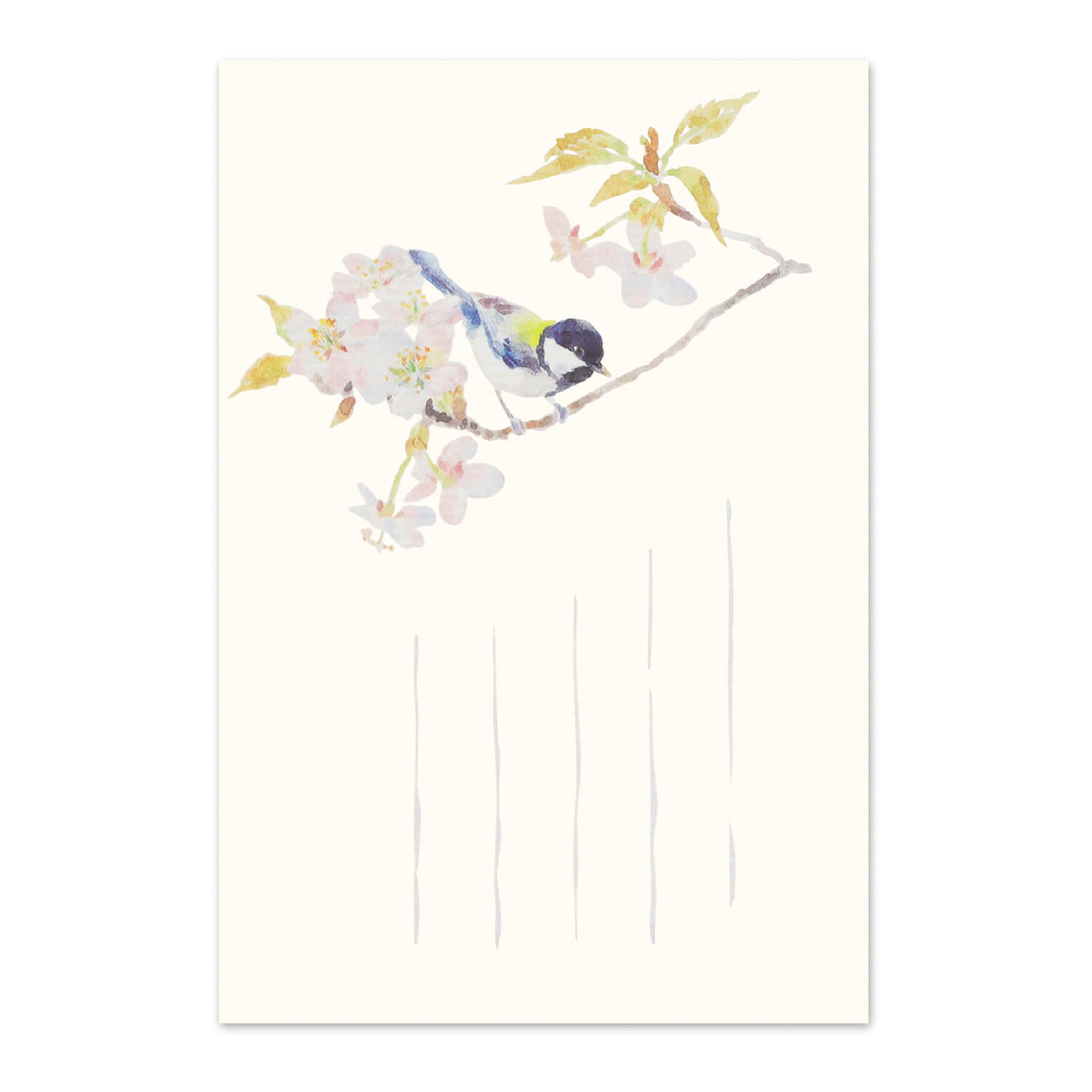 絵葉書 和紙 野鳥 桜 さくら はがき ポストカード ハガキ 手紙 日本製 転居 引っ越し 移転 案内 お花見 挨拶状 お礼状 メッセージカード サクラ 春を告...