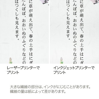 両おもて厚口大直礼状紙A4(50枚入)和紙のコピー・プリンター用紙<業務用>