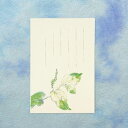 和紙の絵葉書 草花 イラスト ポストカード 手紙 季節の絵は