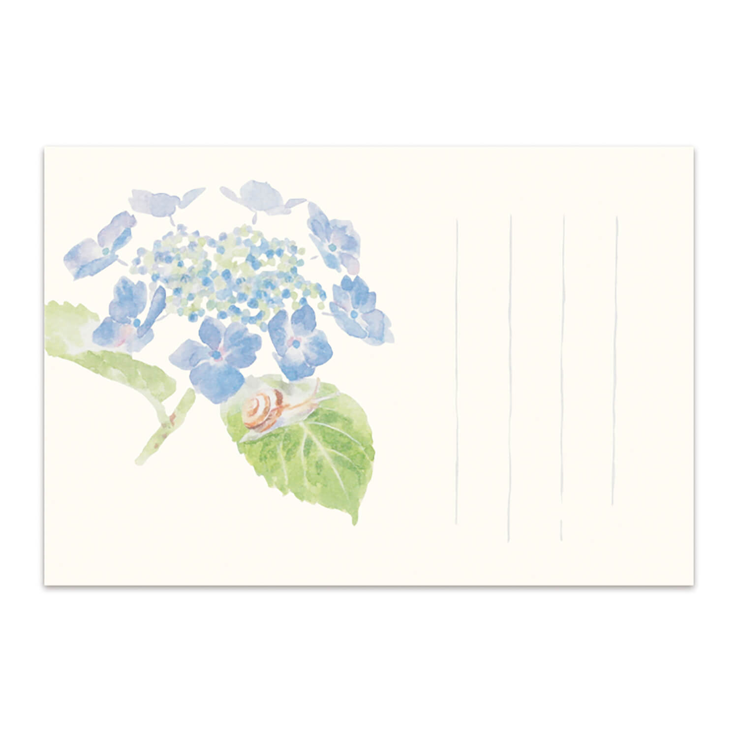 絵葉書 紫陽花 和紙 あじさい ポストカード かたつむり 葉書 アジサイ 蝸牛 梅雨 ご挨拶 お便り 手紙 転居 挨拶状 お礼状 額紫陽花|季節の絵はがき[初夏...