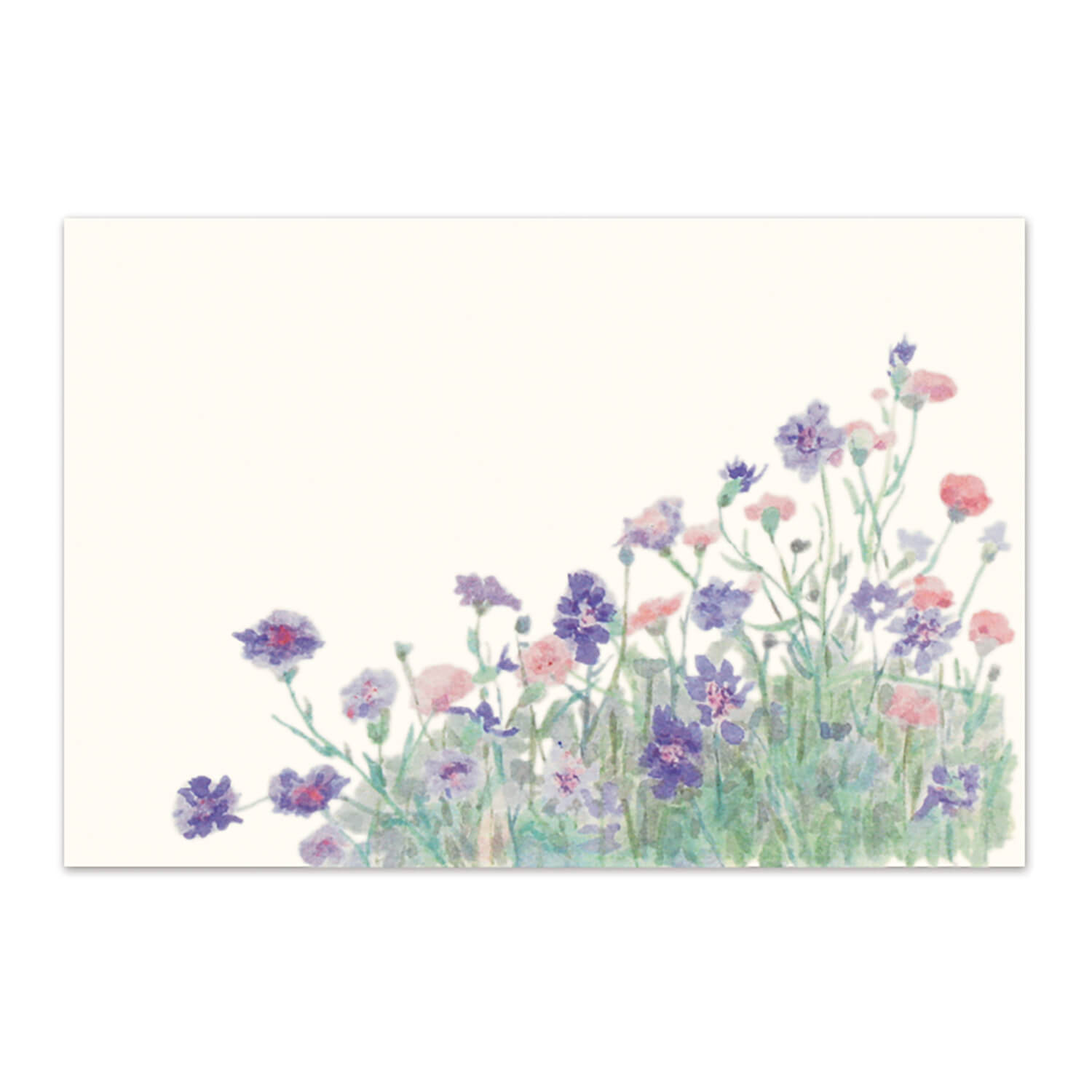 絵葉書 和紙 矢車草 ヤグルマギク コーンフラワー お便り ポストカード おしゃれ 手紙 引っ越し 転居 ご挨拶 お礼状 メッセージカード 友人|季節の絵はがき...