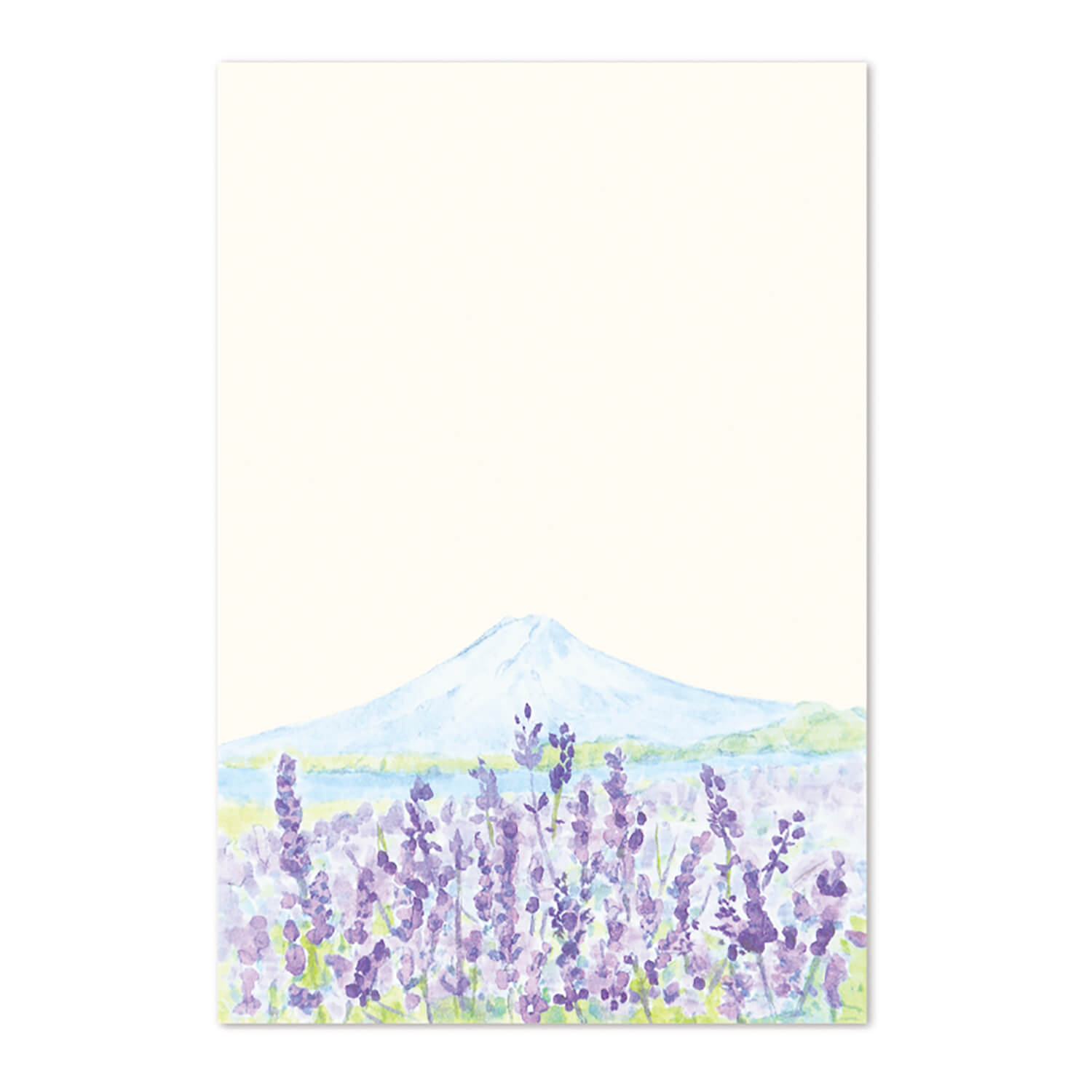 絵葉書 富士山 河口湖 ラベンダー 