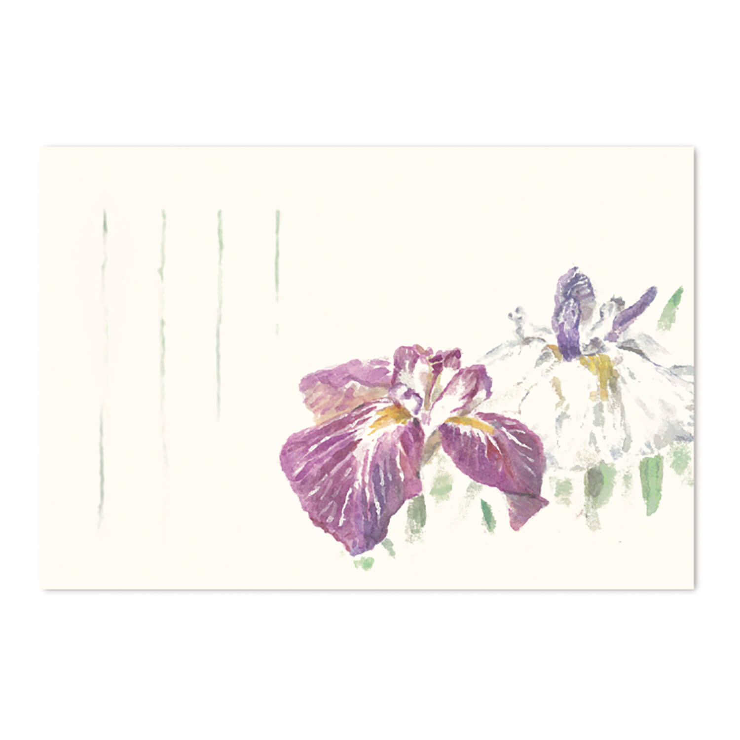 ս ݥȥ  Ϥ ־Գ  » ϥ  å ؤ   ӥͥ|γϤüᡦơϲ֤...