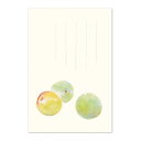 絵葉書 ハガキ 梅 梅の実 うめ 梅仕事 梅雨 和紙 手紙 ポストカード メッセージカード お礼状 ご挨拶 添え状 ギフト お知らせ 案内状 |季節の絵はがき[...
