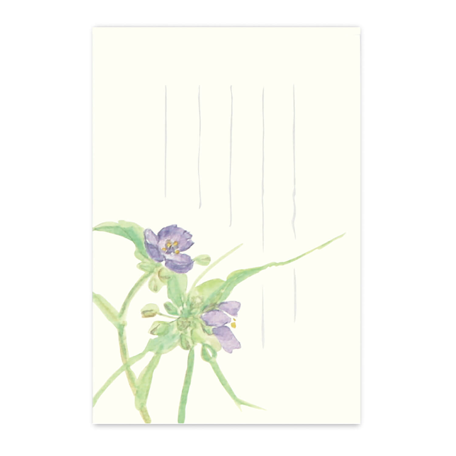 »ŹǤ䡡ŷԾŹ㤨ֳս Ϥ » ĥ楯 Ϫ ݥȥ  å£ʪ ե  ź|γϤβơϤ餵Ĥ椯פβǤʤ176ߤˤʤޤ