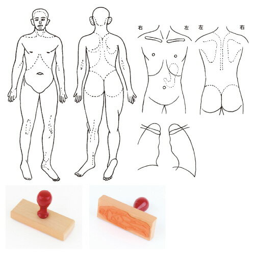 ���ο޷��������