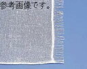 ホスピタルガーゼ 2折30cm×30cm 300枚入(4)