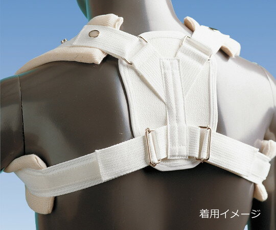 ����ӥ���٥��ȡ�S ��NE-1131������