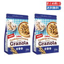 【超ポイントバック祭×当店ポイント5倍 開催中!】 カルビー グラノーラ クッキー&クリームテイスト 550g×2袋セット 朝食 シリアル バニラ風味 チョコク...