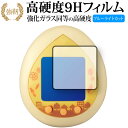 PUI PUI モルカー PUI PUI モルカっち 専用 強化ガラス と 同等の 高硬度9H ブルーライトカット クリア光沢 改訂版 保護フィルム 有償交換保...