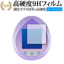 BANDAI TinyTAN Tamagotchi 保護 フィルム 高硬度9H ブルーライトカット クリア光沢タイプ 改訂版 互換品 有償交換保証付き