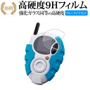 バンダイ デジモンアドベンチャー 02 SuperComp leteSelectionAnimation D-3 用 液晶保護 フィルム 高硬度9H ブルーライ...