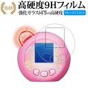 タカラトミー ぷにるんず ぷにともつーしん ( 2枚セット ) 液晶保護 フィルム 強化ガラス と 同等の 高硬度9H ブルーライトカット クリア光沢タイプ 改...
