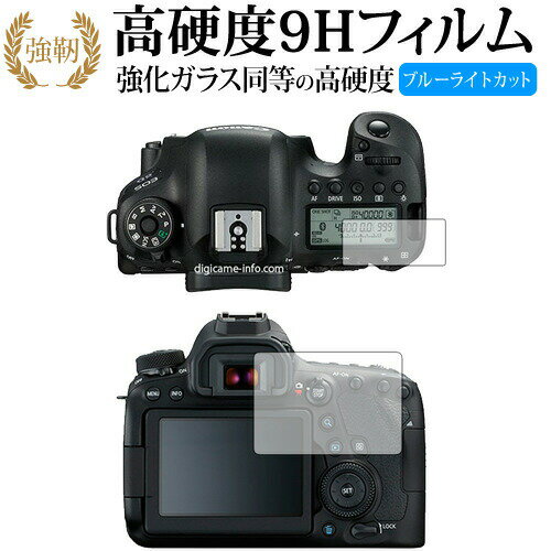 Canon EOS 6D Mark II   饹ե  Ʊ 9H ֥롼饤ȥå   վݸե ͭݾդ