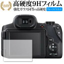 サンワサプライ 液晶保護フィルム(2.7型) DG-LC8