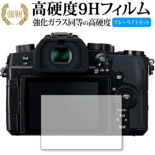 Panasonic LUMIX DC.G99 専用 強化 ガラスフィルム と 同等の 高硬度9H ブルーライトカット 光沢タイプ 改訂版 液晶保護フィルム 有償交換保証付き