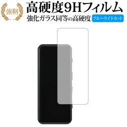 FiiO BTR3 専用 強化 ガラスフィルム と 同等の 高硬度9H ブルーライトカット 光沢タイプ 改訂版 液晶保護フィルム 有償交換保証付き