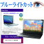 ASUS Zenbook 15 UM3504DA [15.6] ݸ ե С  ֥롼饤ȥå  վݸե ̵ ᡼/DM