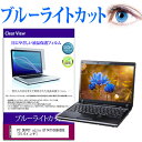 PC DEPOT ozzio GT74710G96SDE 15.6インチ ブルーライトカット 液晶保護フィルム 液晶カバー 液晶シート 有償交換保証付き