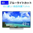 49インチ 49型 ブルーライトカット 液晶保護フィルム (W1074×H604mm) フリーカットタイプ メール便送料無料