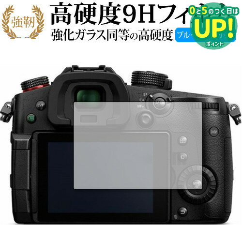 ǥСޡåȤ㤨Panasonic LUMIX GH5II ݸ ե 9H ֥롼饤ȥå ꥢ  ߴʡפβǤʤ630ߤˤʤޤ