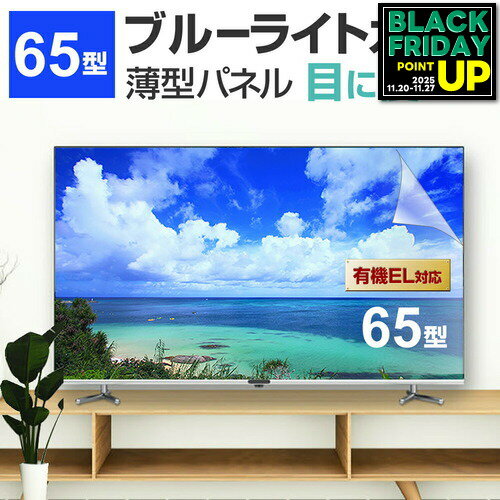 液晶テレビ保護パネル 65型 ブルーライトカット テレビ保護パネル 65インチ bravia ブラビア viera ビエラ regza レグザ 保護 フィルム 画面 モニター 破損 防止 有機ELテレビ UV 保護 テレビガード 薄型 カバー 互換品