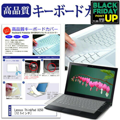Lenovo ThinkPad X250[12.5インチ]キーボードカバー キーボード保護 送料無料 メール便/DM便 互換品