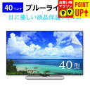 40インチ 40型 ブルーライトカット オーダーメイド カット液晶保護フィルム テレビ 画面 (W886×H498mm) フリーカットタイプ メール便 送料無料