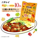 ニチレイ　12種の野菜カレー　10袋(1人前 1袋200g) 　ポイント消化　送