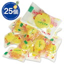 パインアメ 飴 アメ 25個 パイン株式会社 ポイント消化 送料無料 お試し バラ売り