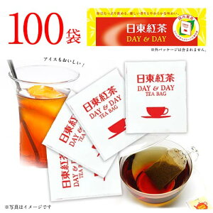 日東紅茶　DAY&DAY　紅茶　ティーバッグ　100袋入×1箱　計100袋　ポイント消化　送料無料　大容量　業務用　来客用　ホットティー　アイスティー　リフレッシュ