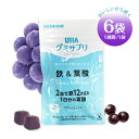 UHA味覚糖 UHAグミサプリ 鉄&葉酸 【6袋】 ポイント消化 送料無料 バラ売り お試し 個包装 健康 グミ サプリ