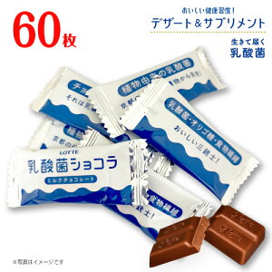 ロッテ　乳酸菌ショコラ　ミルクチョコレート　60枚(1枚4g)　デザート&サプリメント　ポイント消化　送料無料　お試し　バラ売り　健康　オリゴ糖　食物繊維　※夏場は溶ける恐れあり