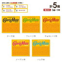 カロリーメイト ブロック 5種類セット×各1箱 計5箱 バニラ・チョコ・チーズ・メープル・フルーツ ポイント消化 送料無料 ダイエット 健康 栄養補助 大塚製薬