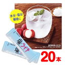 日東紅茶 塩とライチ 粉末清涼飲料 【20袋】 ポイント消化 バラ売り 送料無料 お試し 紅茶 水分補給