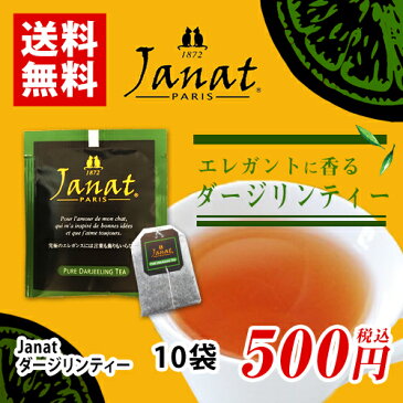 Janat　ジャンナッツ　ダージリンティー　10袋　ポイント消化　バラ売り　送料無料　お試し　紅茶　ティーバッグ