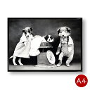 A4ポスター　犬のモノクロポスターNo.2　出産　マットコート紙　モノトーン　インテリア　動物　写真　アートポスター　ビンテージ　ポイント消化　送料無料