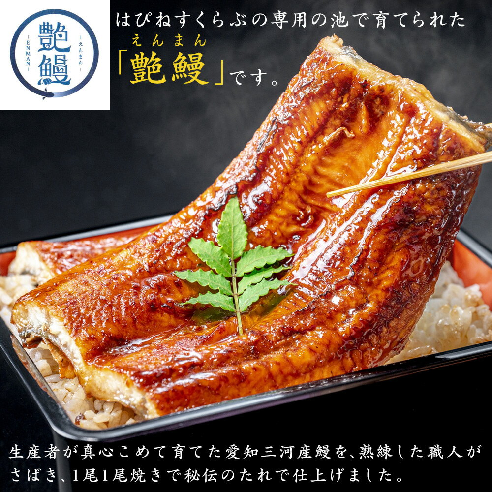 愛知県三河産 艶鰻 蒲焼3尾セット＜梅 竹 松 主 大地主＞はぴねすくらぶ ラジオショッピング
