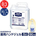 プレヴェーユ 薬用ハンドジェル 5L＋190mLボトル【指定医薬部外品】【お1人様5点まで】手や指の洗浄 消毒 除菌に。薬用アルコールジェル 大容量 5リットル（5000ml）アルコール消毒 アルコール除菌 消毒ハンドジェル