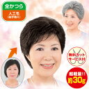 超軽量！小顔ヘアウィッグ＜栗色 自然色 白毛10％入 白毛30％入 白毛50％入＞