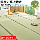 国産い草上敷き<本間6帖用286×382cm>(3)
