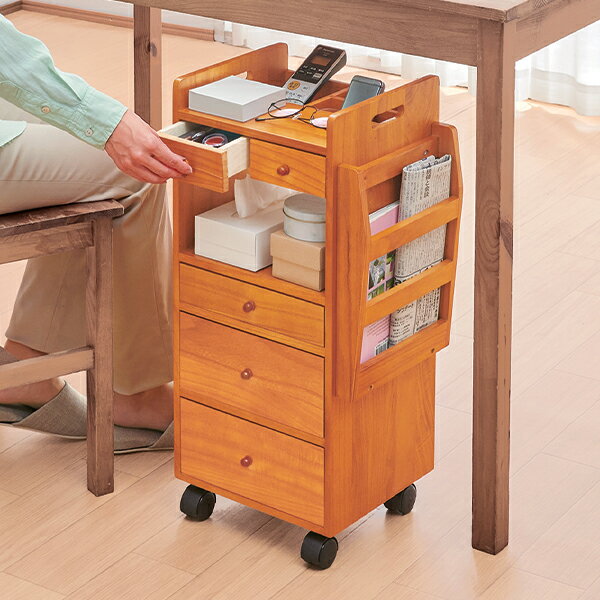 Rakuten - まとめ上手な便利収納ワゴン＜ロータイプ ハイタイプ ハイタイプ幅広＞