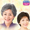 のせてパチン!やわらかネットのヘアピース<自然色 栗色 白毛10%入り 白毛30%入り 白毛50%入り 白毛70%入り>
