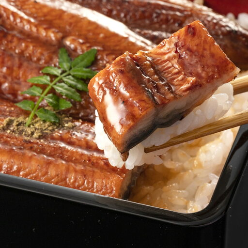 三河産うなぎ蒲焼き 3尾セット 三河産うなぎ蒲焼き 3尾セット