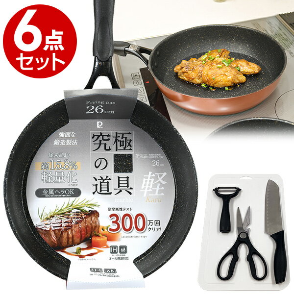 究極の道具 IH対応300万回フライパン6点セット【はぴねすくらぶラジオショッピング】