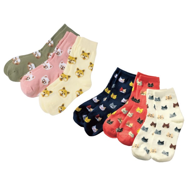 ����ǭ�Τ��襤�������㸤 ǭ��